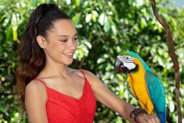 Kuranda Wildlife Experience Deluxe Multi-attraction Pass